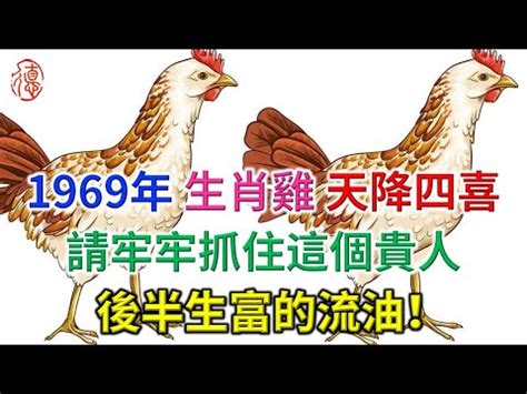 1969屬雞2023幸運色|1969年屬雞人2023年運勢及運程69年54歲生肖 